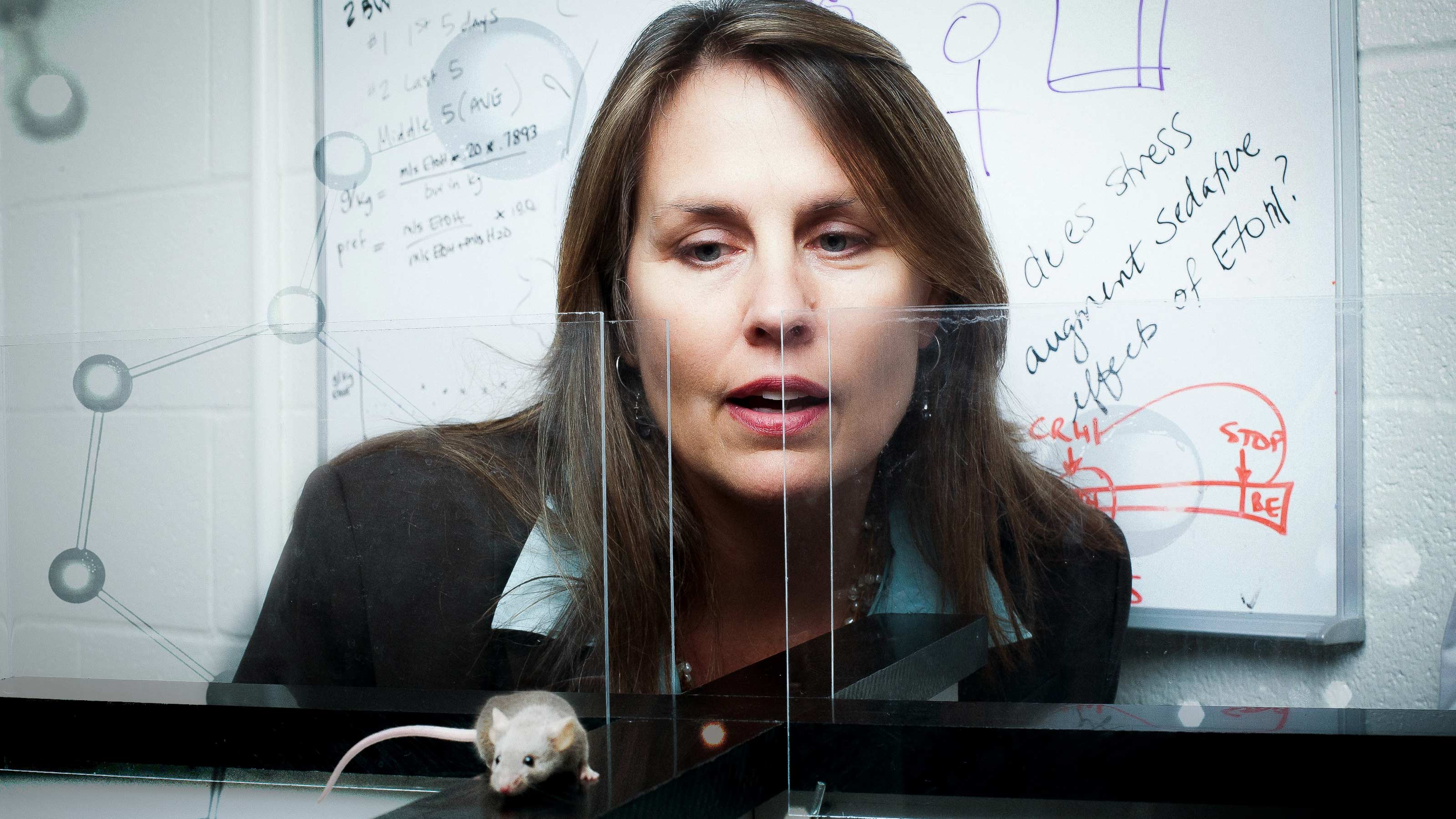 Judith Grisel on addiction and the brain.