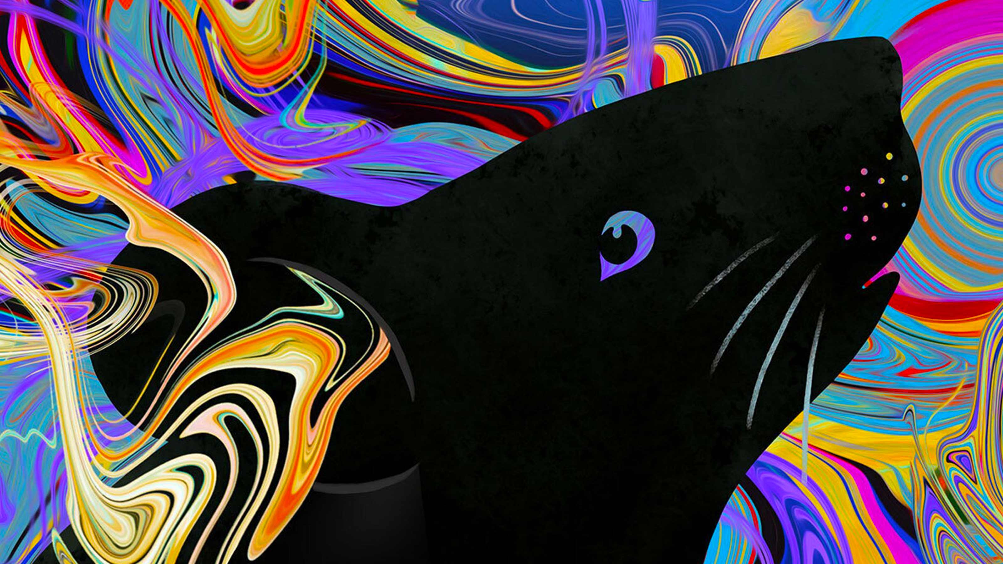 auditory hallucinations