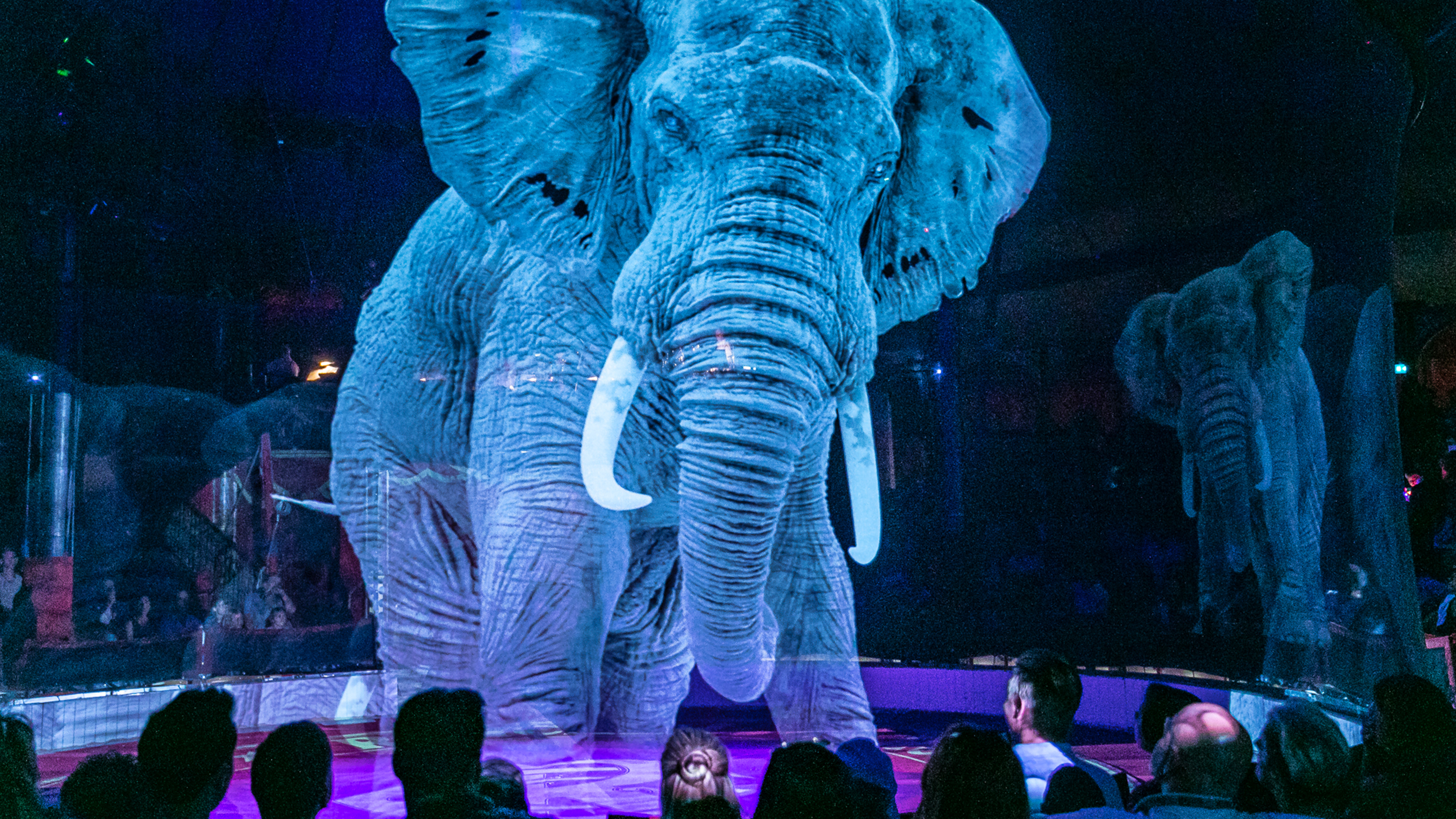 holographic circus animals