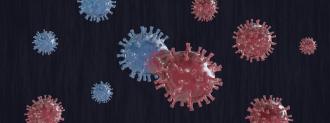 coronavirus mutations