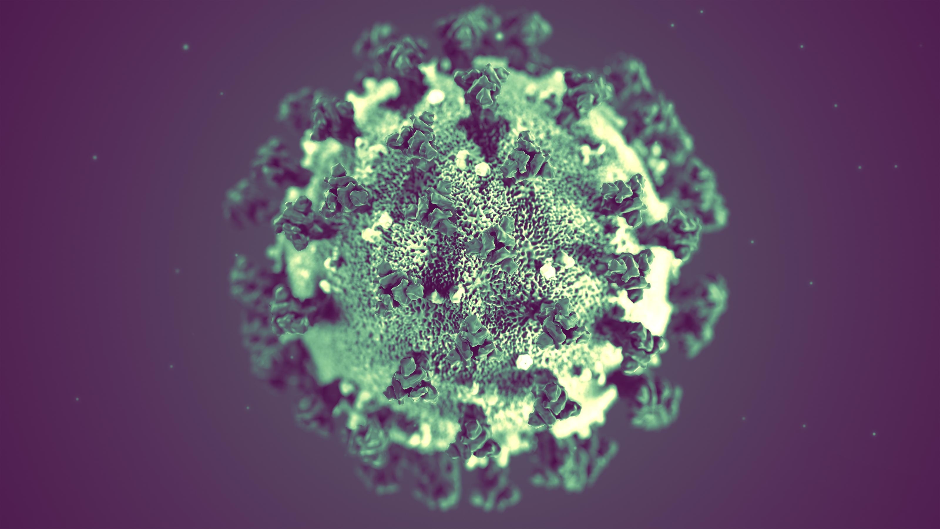 coronavirus news