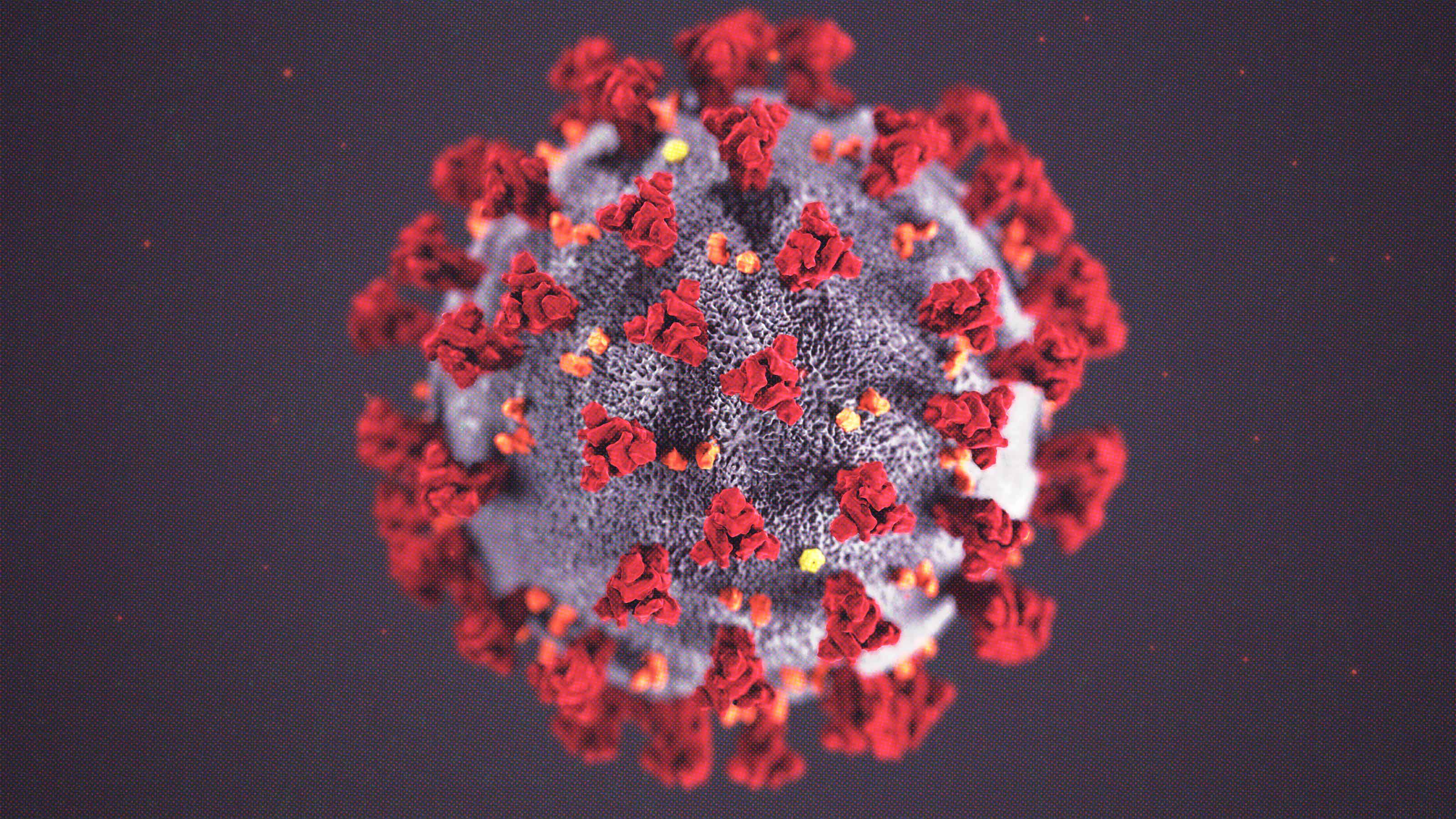 coronavirus predictions