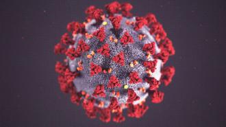 coronavirus predictions