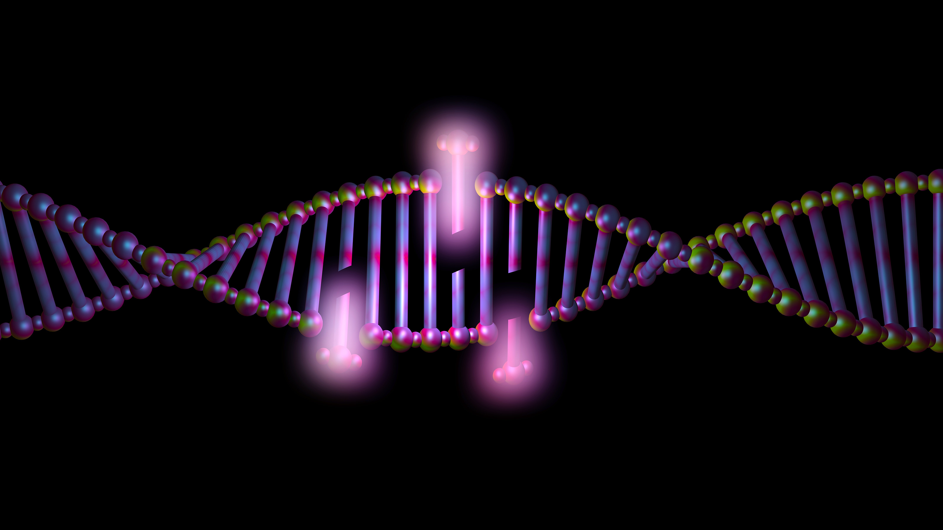 duplication mutation