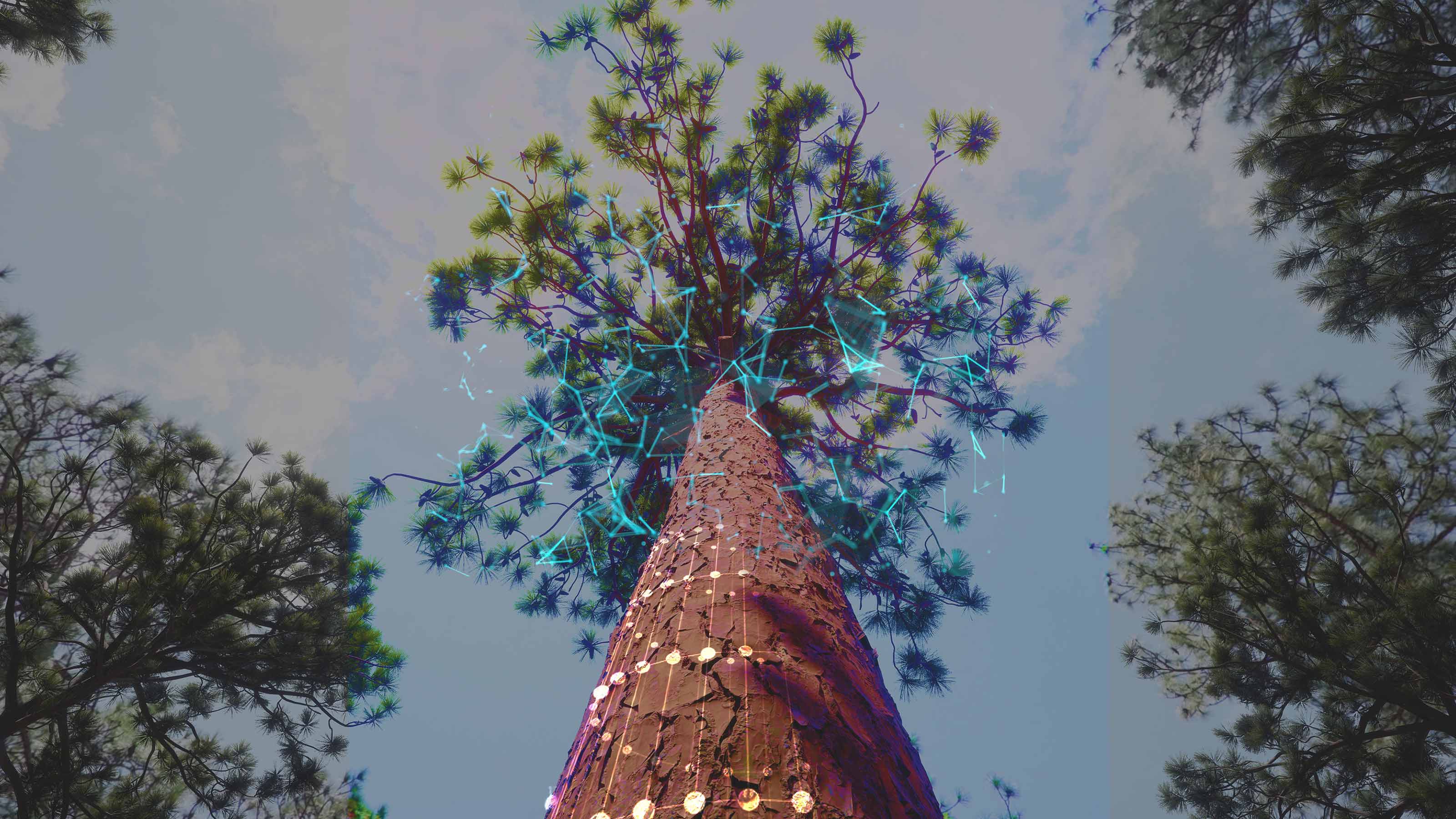 3d models of trees