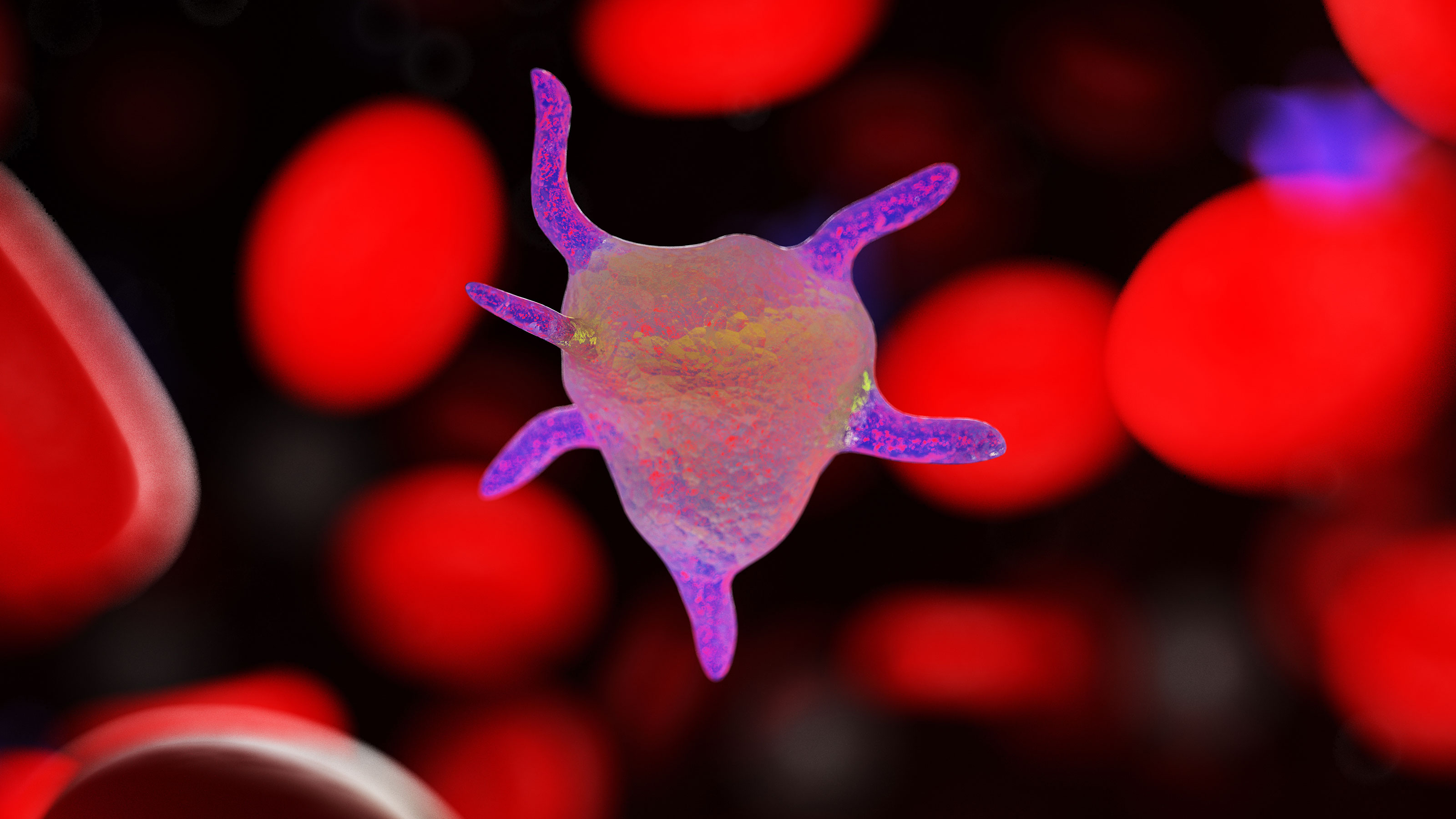 new cancer treatment Hot Blood Cells