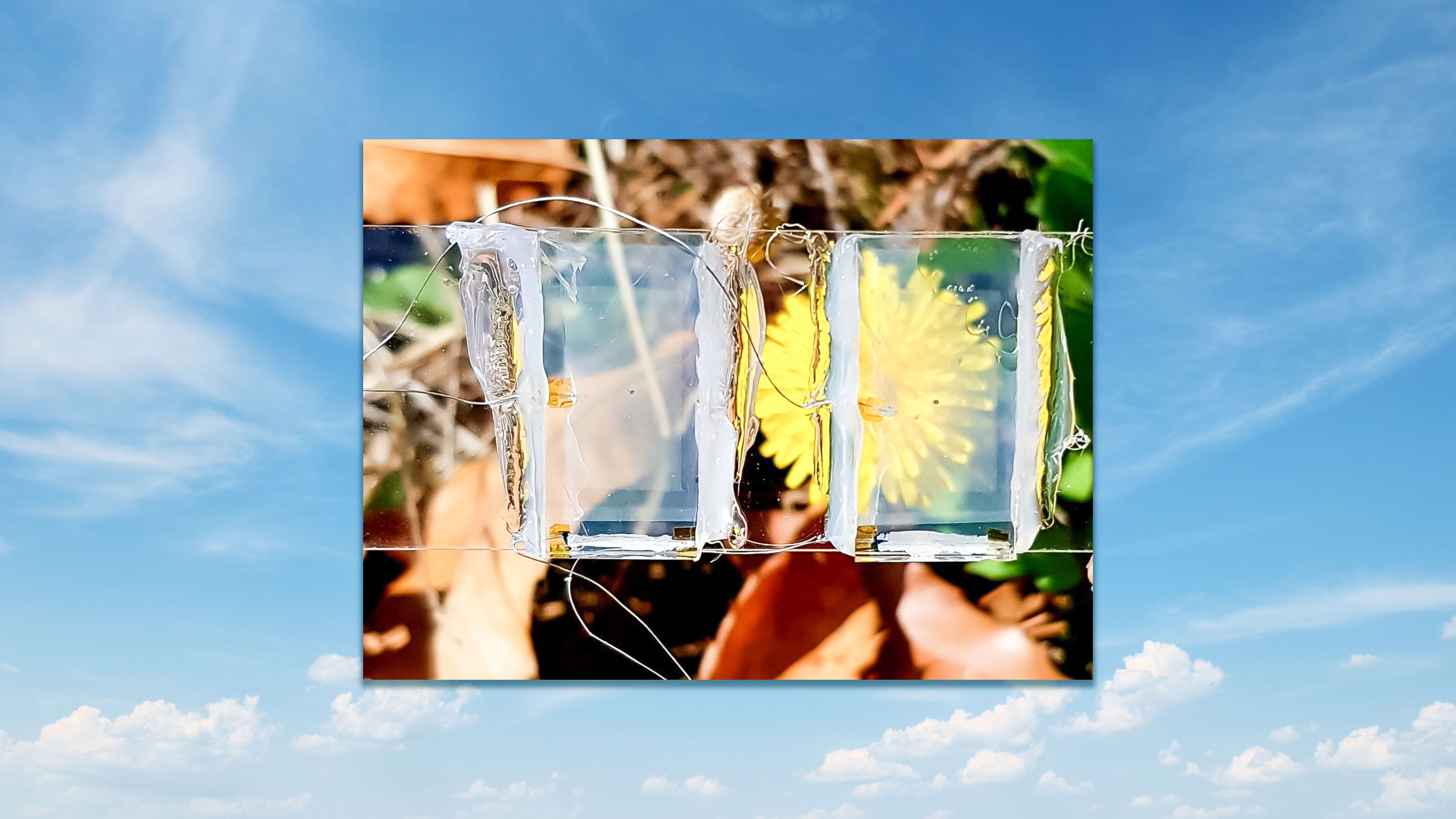 transparent solar panels