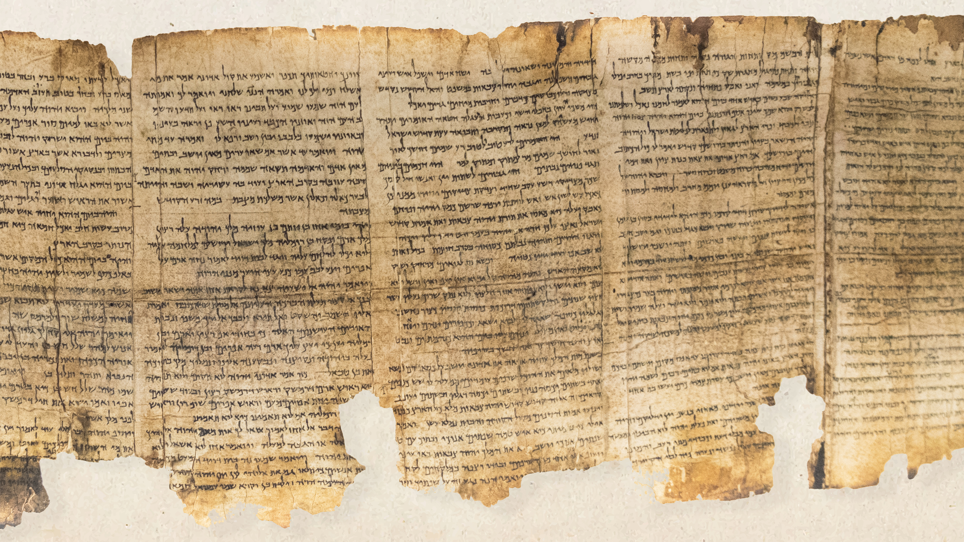 the dead sea scrolls