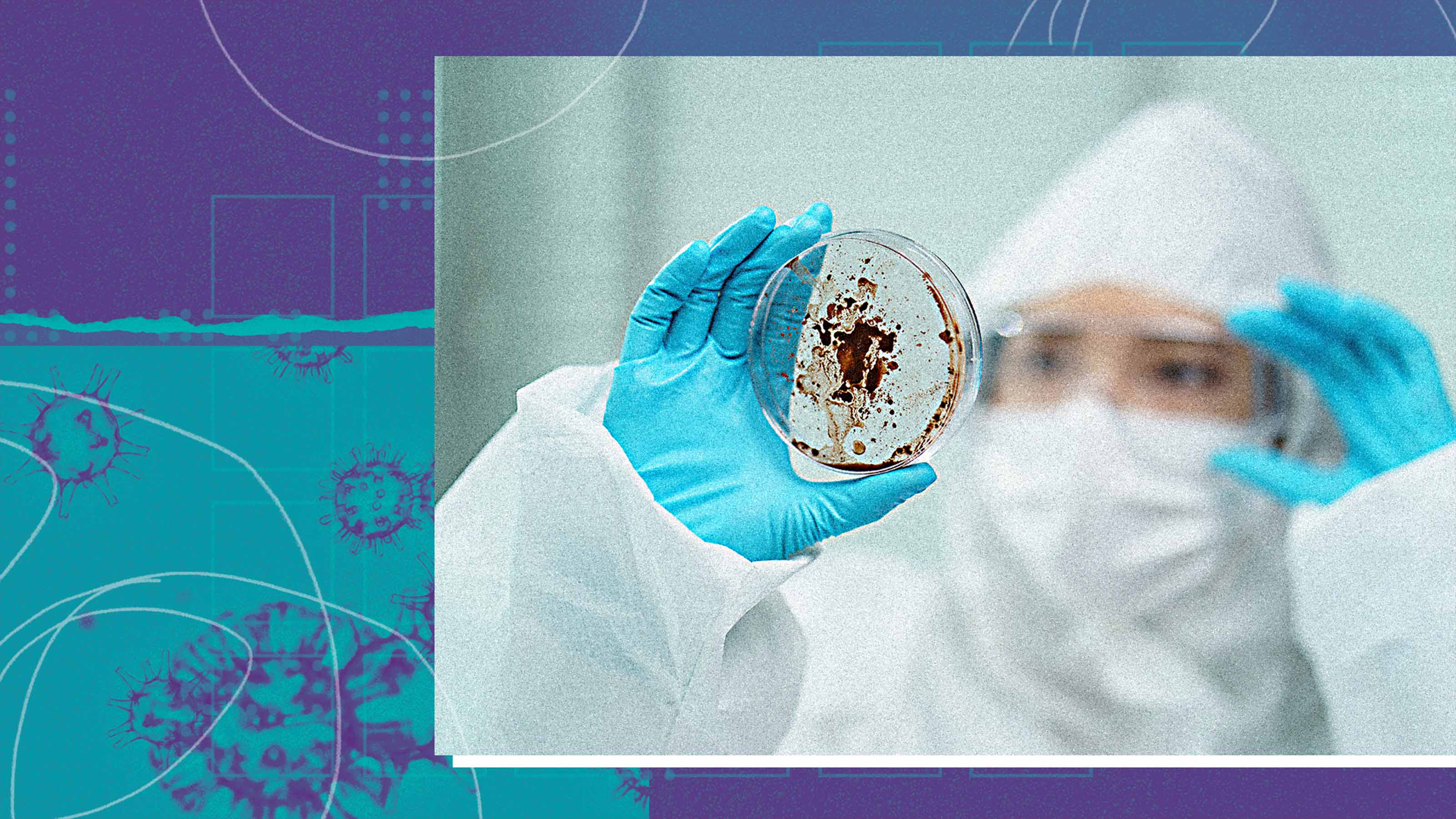 timeline of the coronavirus