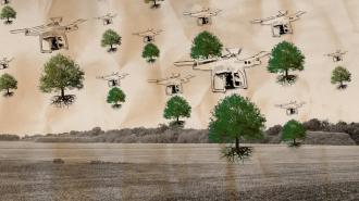 tree-planting drones