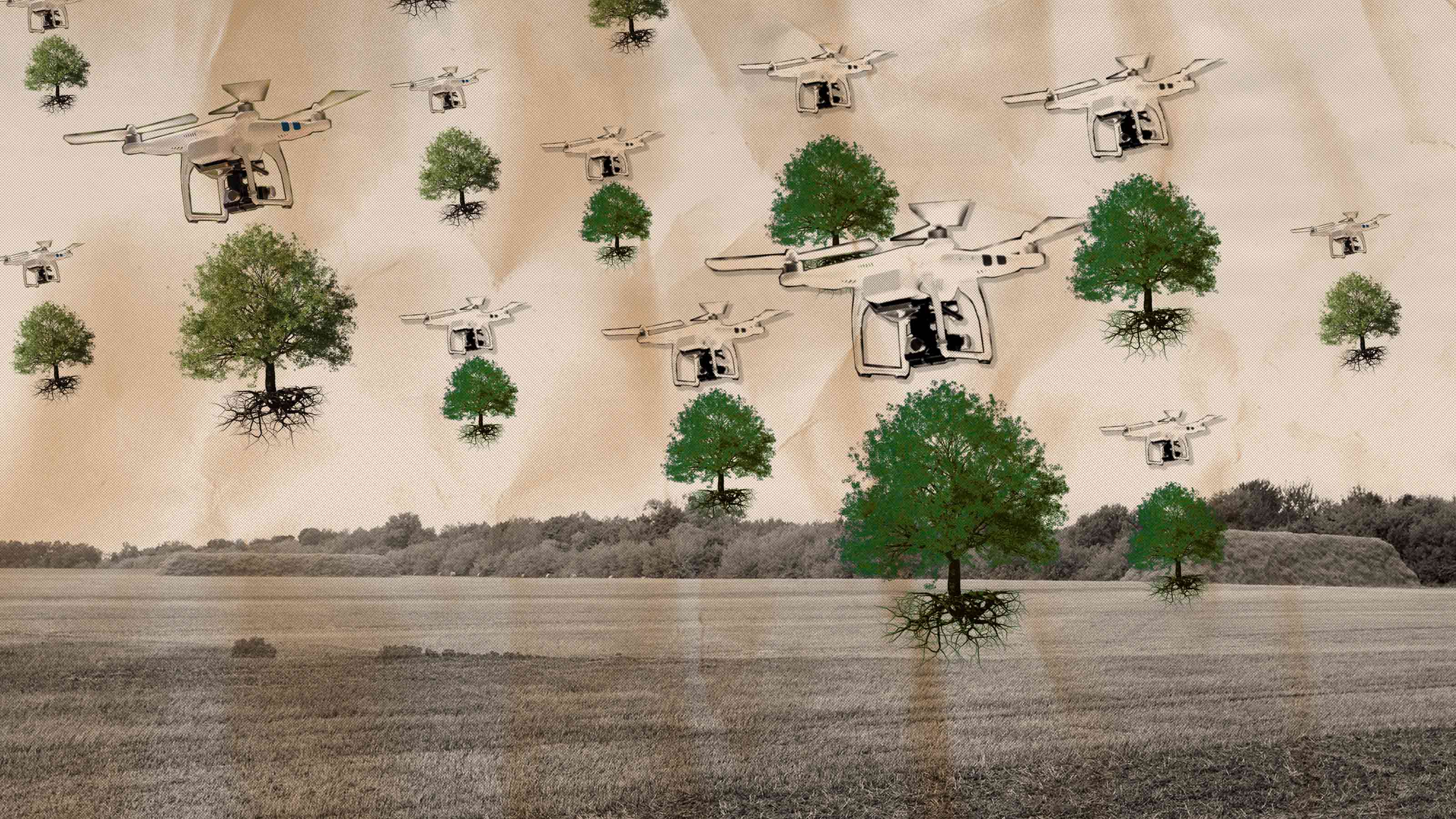tree-planting drones