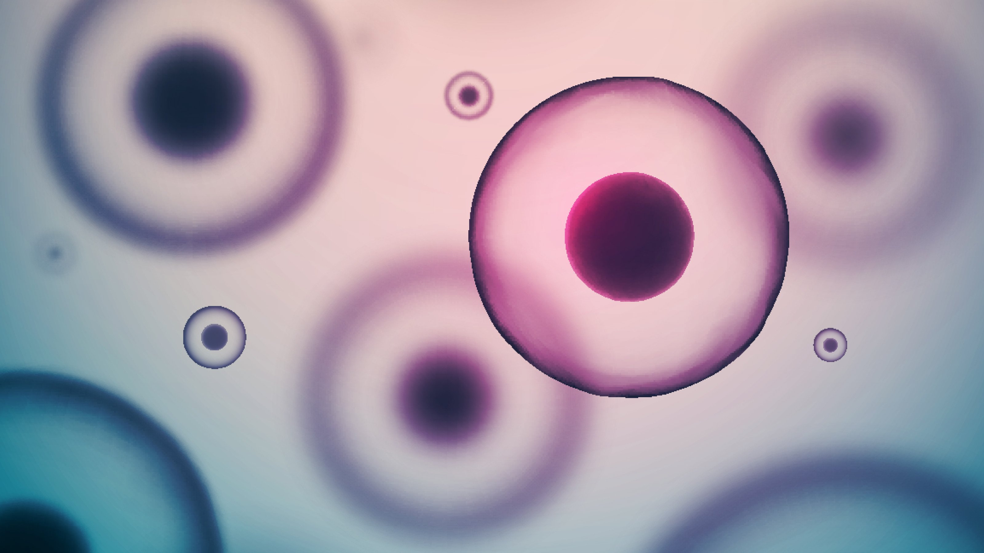 induced pluripotent stem cells