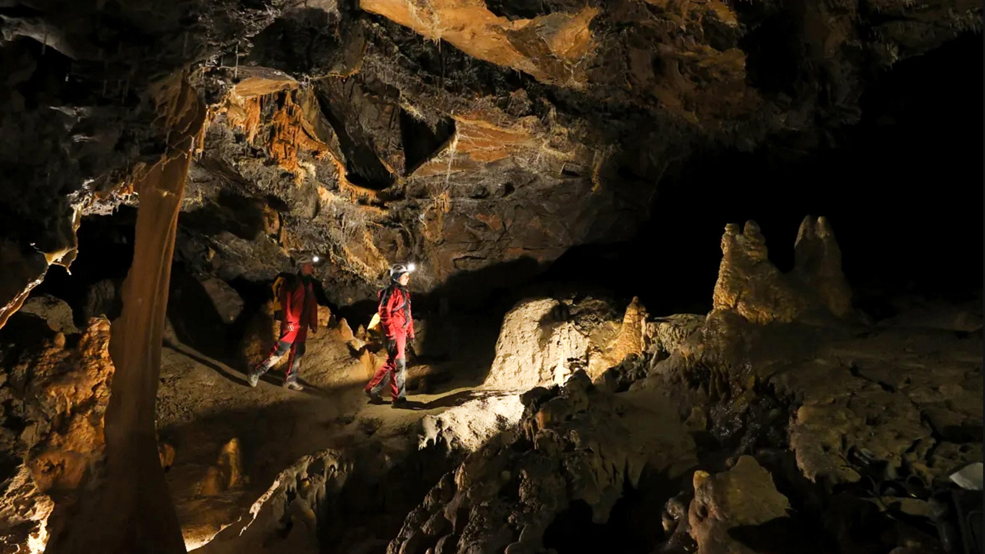 isolation experiment