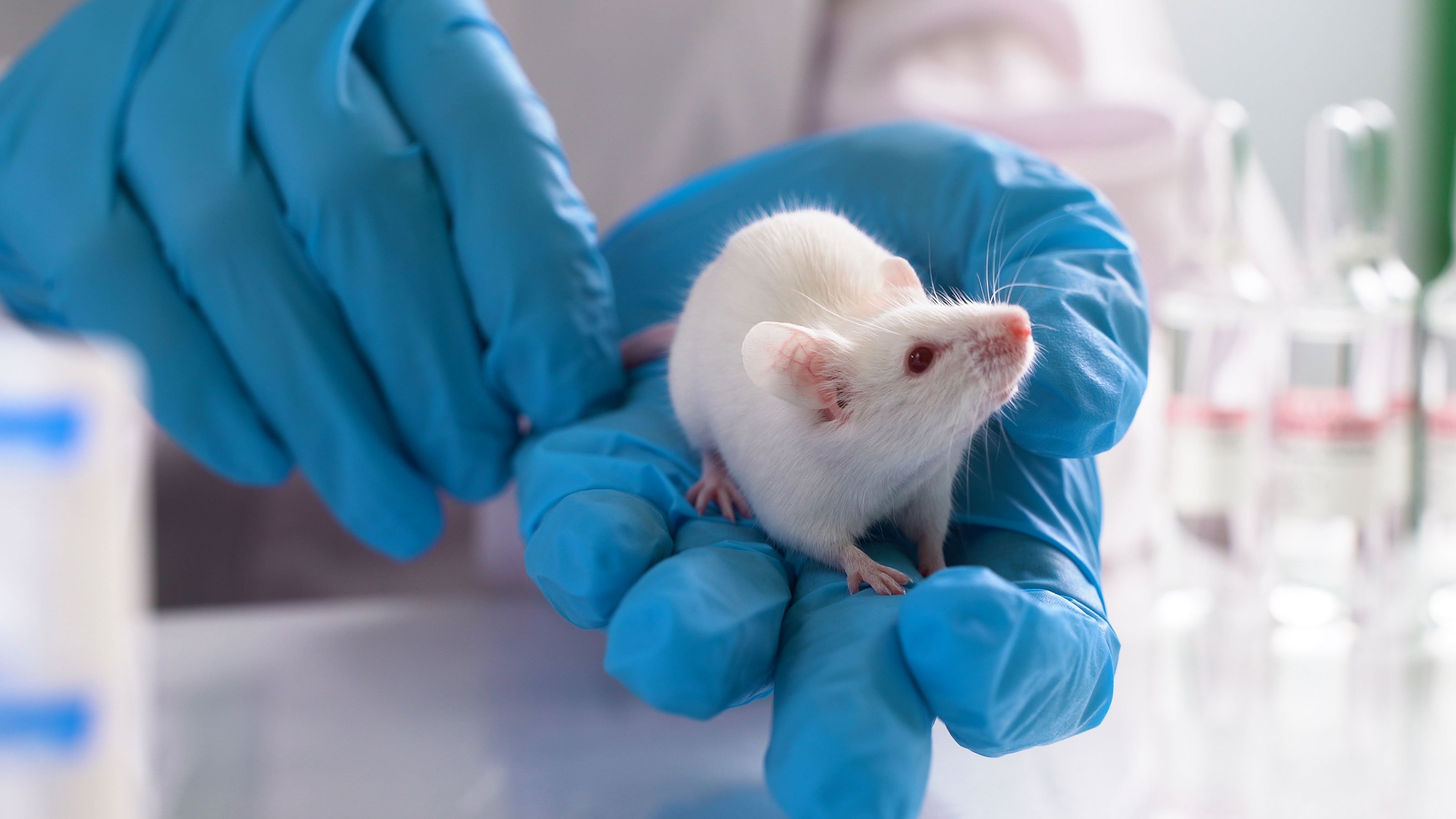 gene editing life expectancy