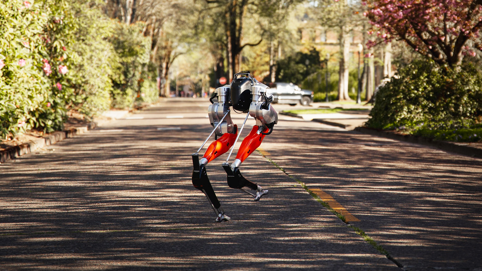 bipedal robot