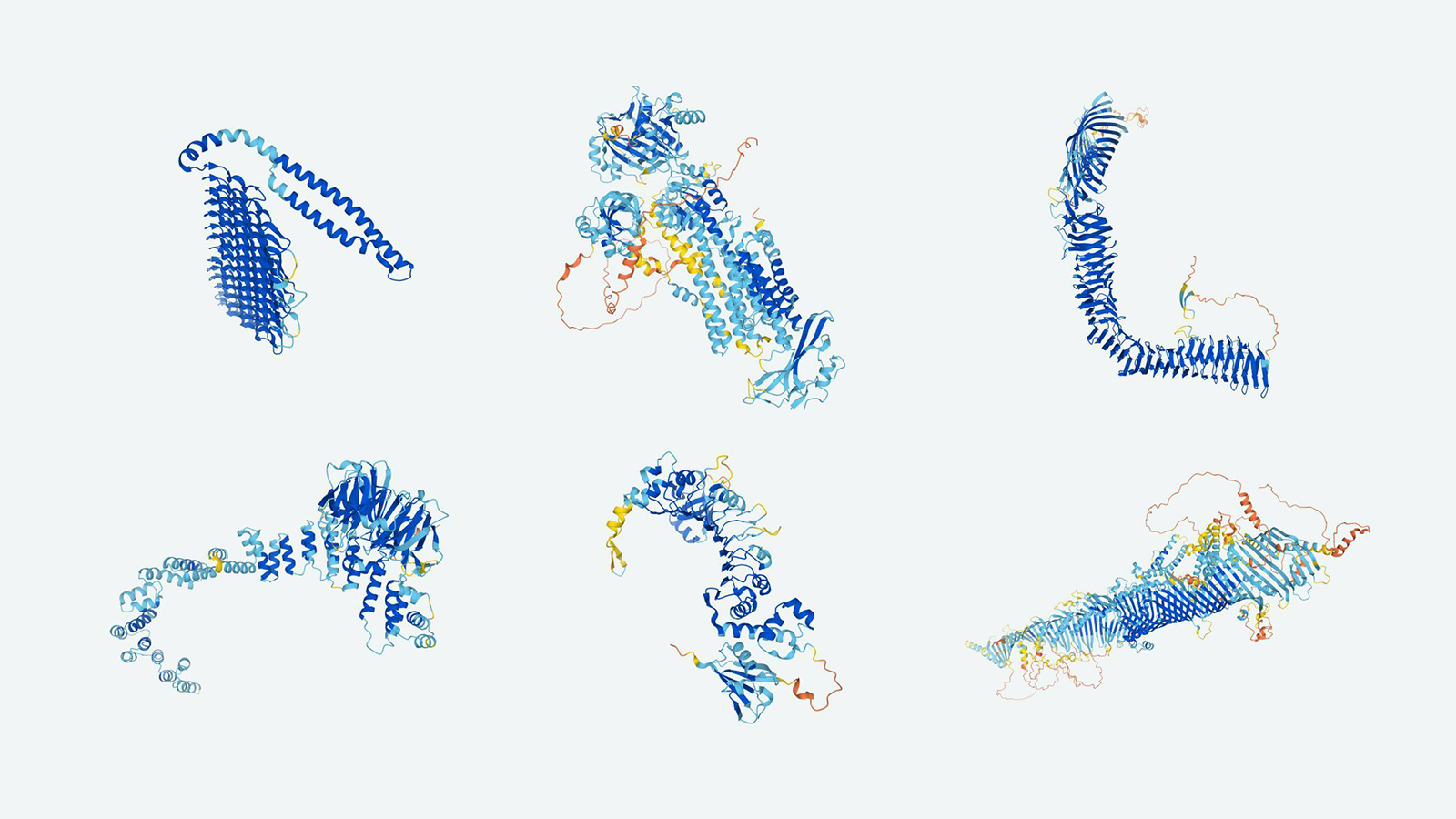protein structure