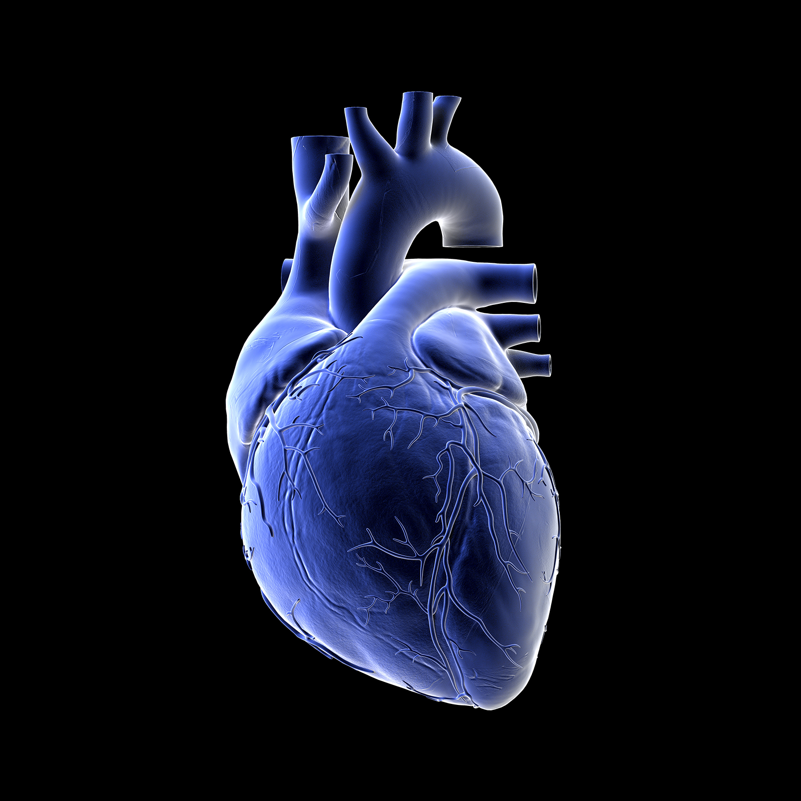 heart damage from COVID0-19