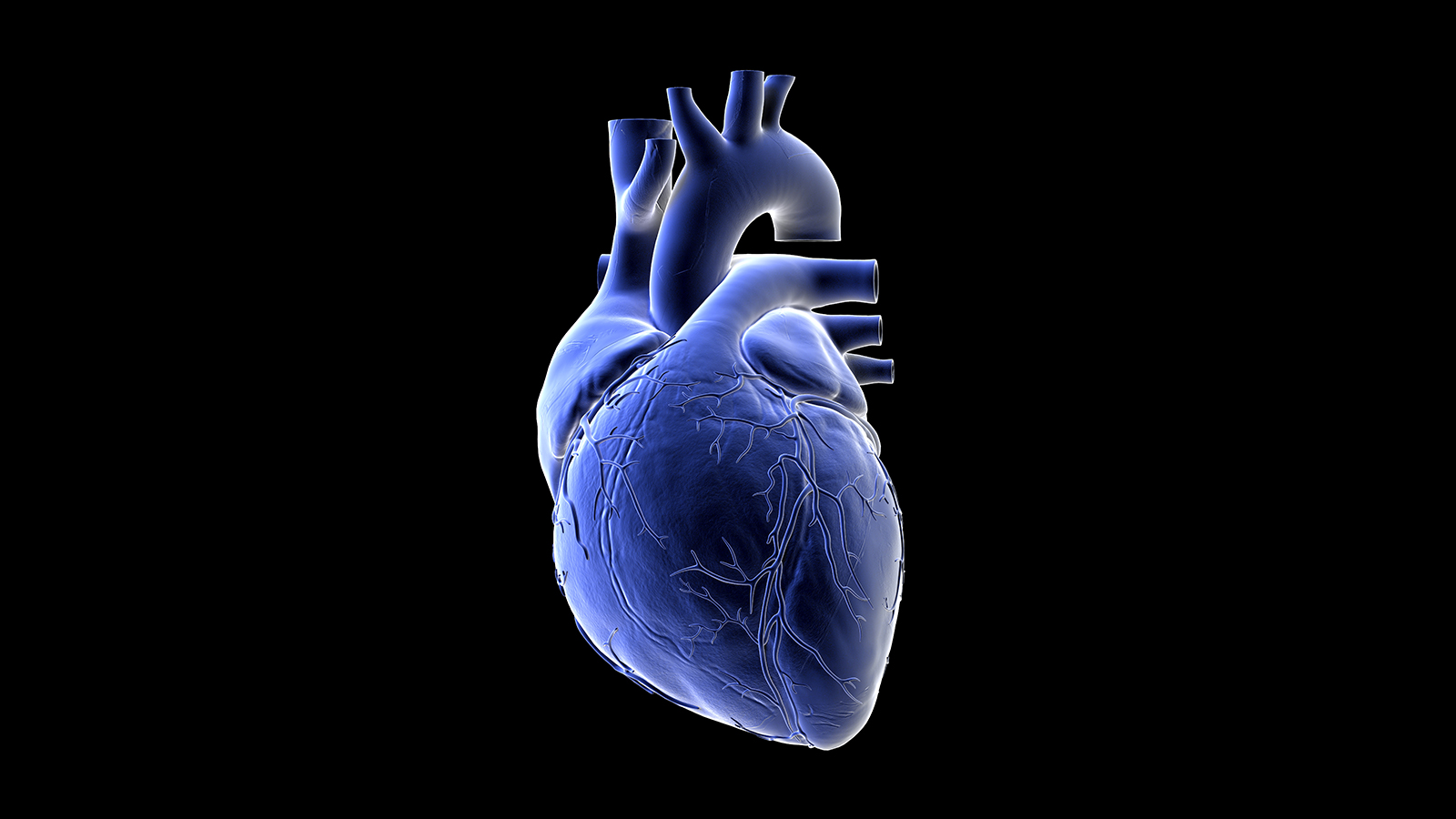 heart damage from COVID0-19