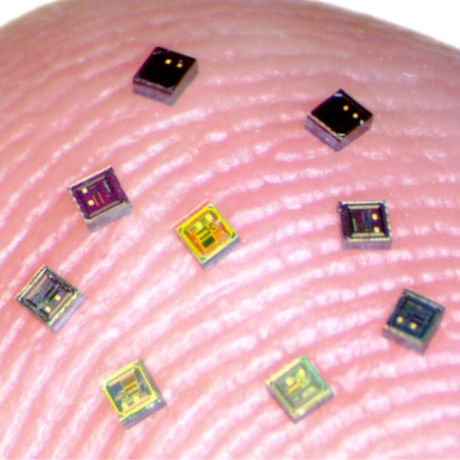 neural implants