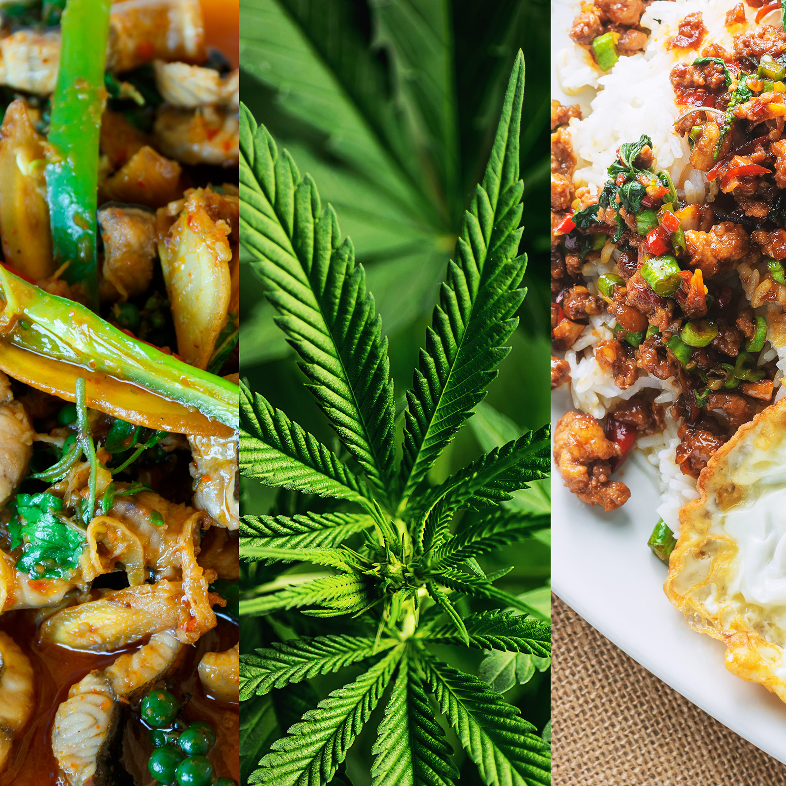 cannabis cooking