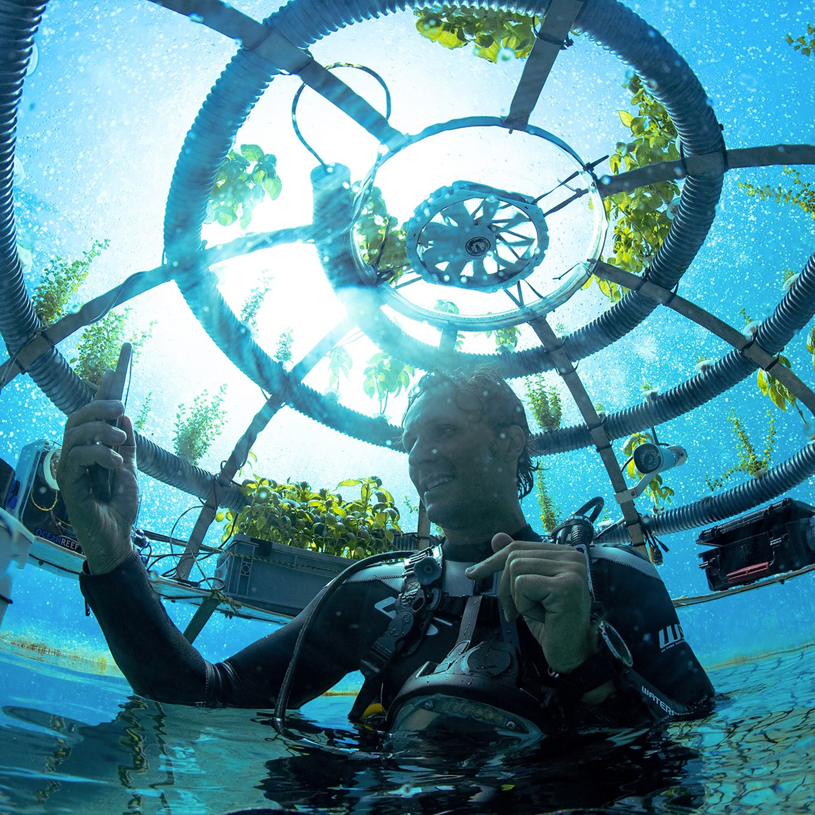 underwater garden