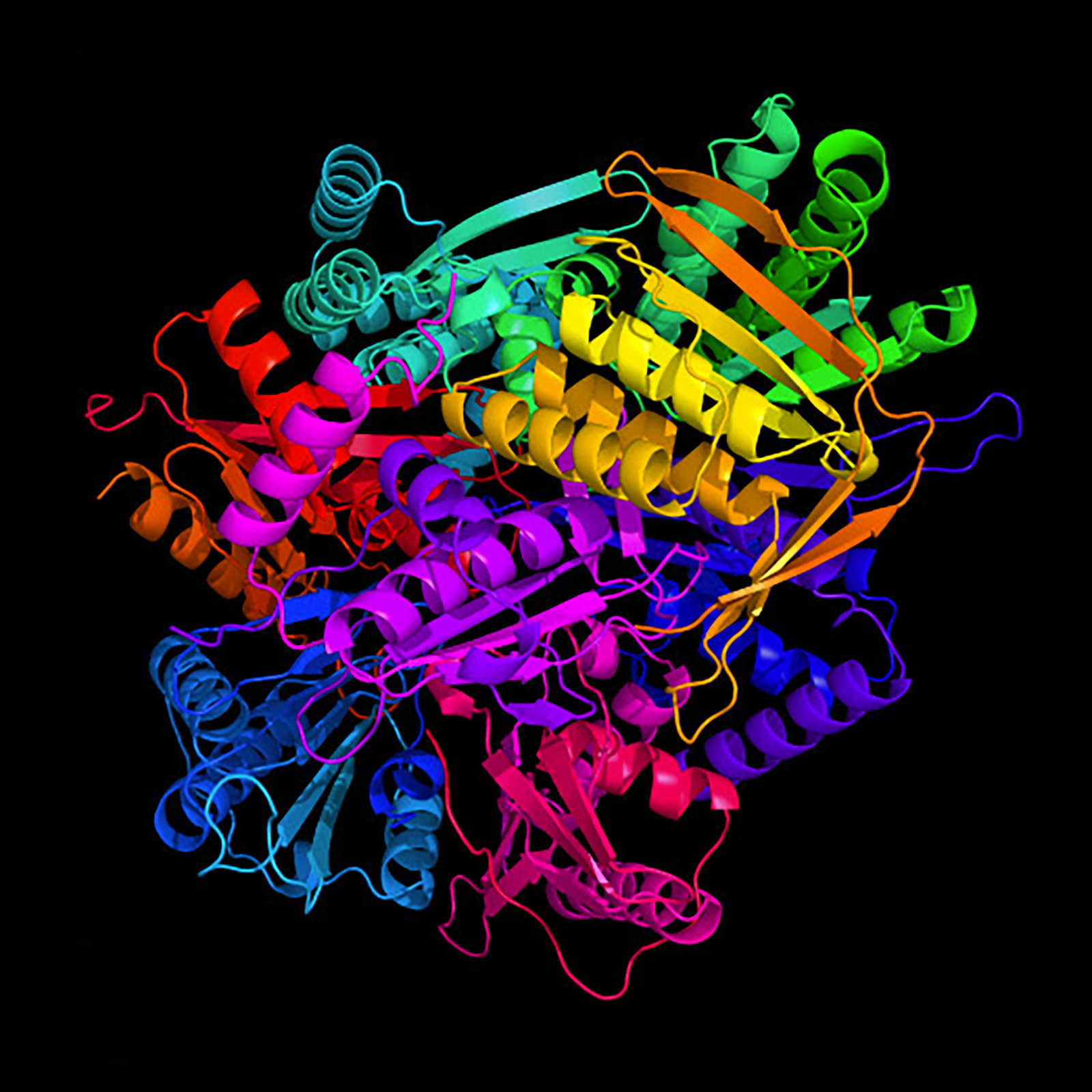 protein folding AI