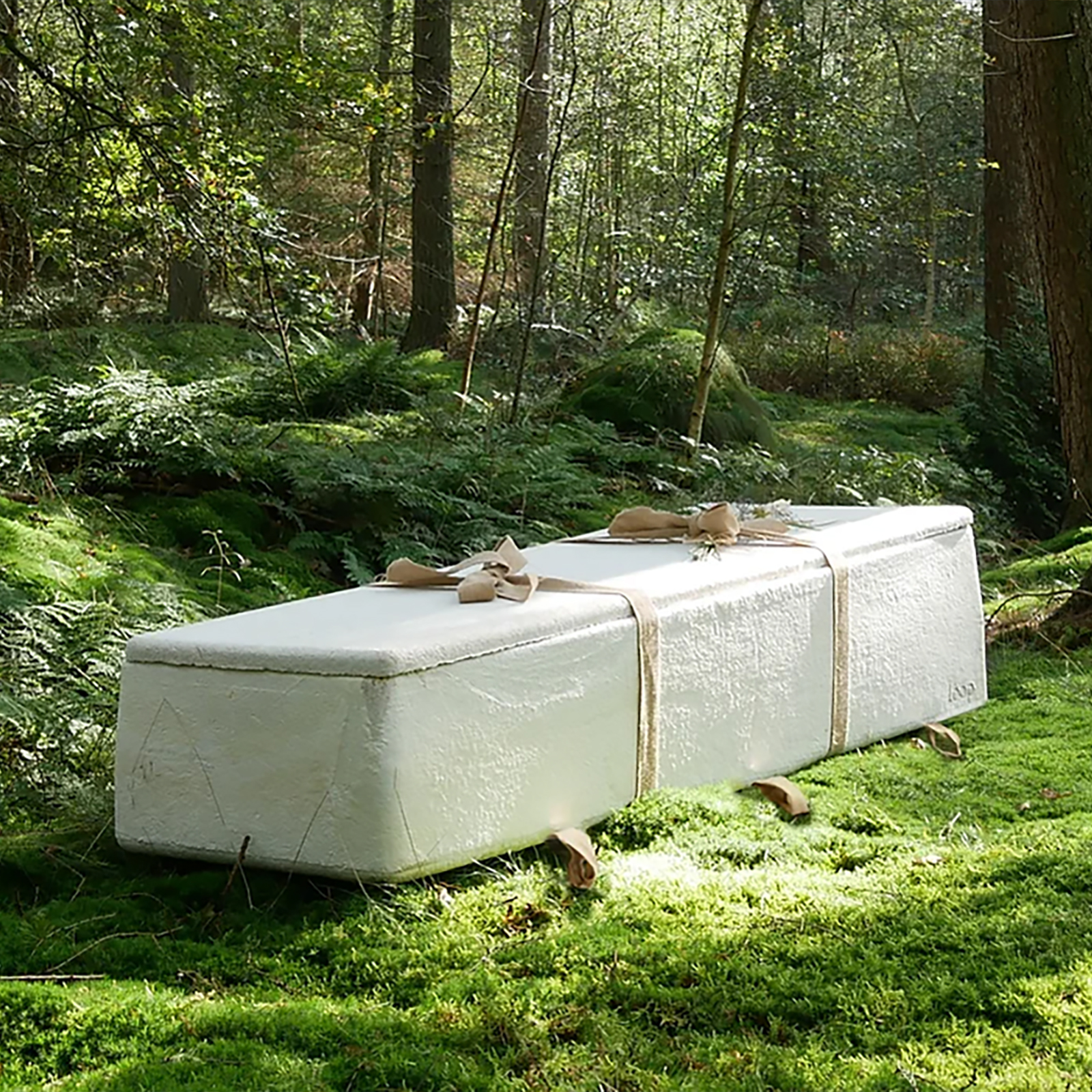 a white coffin in the middle of a lush forest