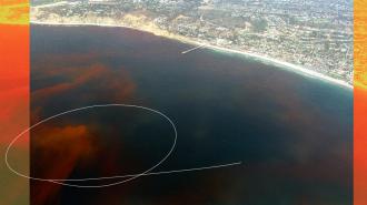 An ocean fertilization experiment using phytoplankton visualized through an aerial view with a circle drawn on it.