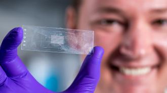 a man holding a microscope slide covered in tiny colorful dots