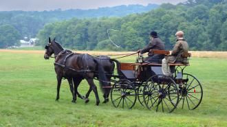 Amish farmers cross a field in a horse and buggy