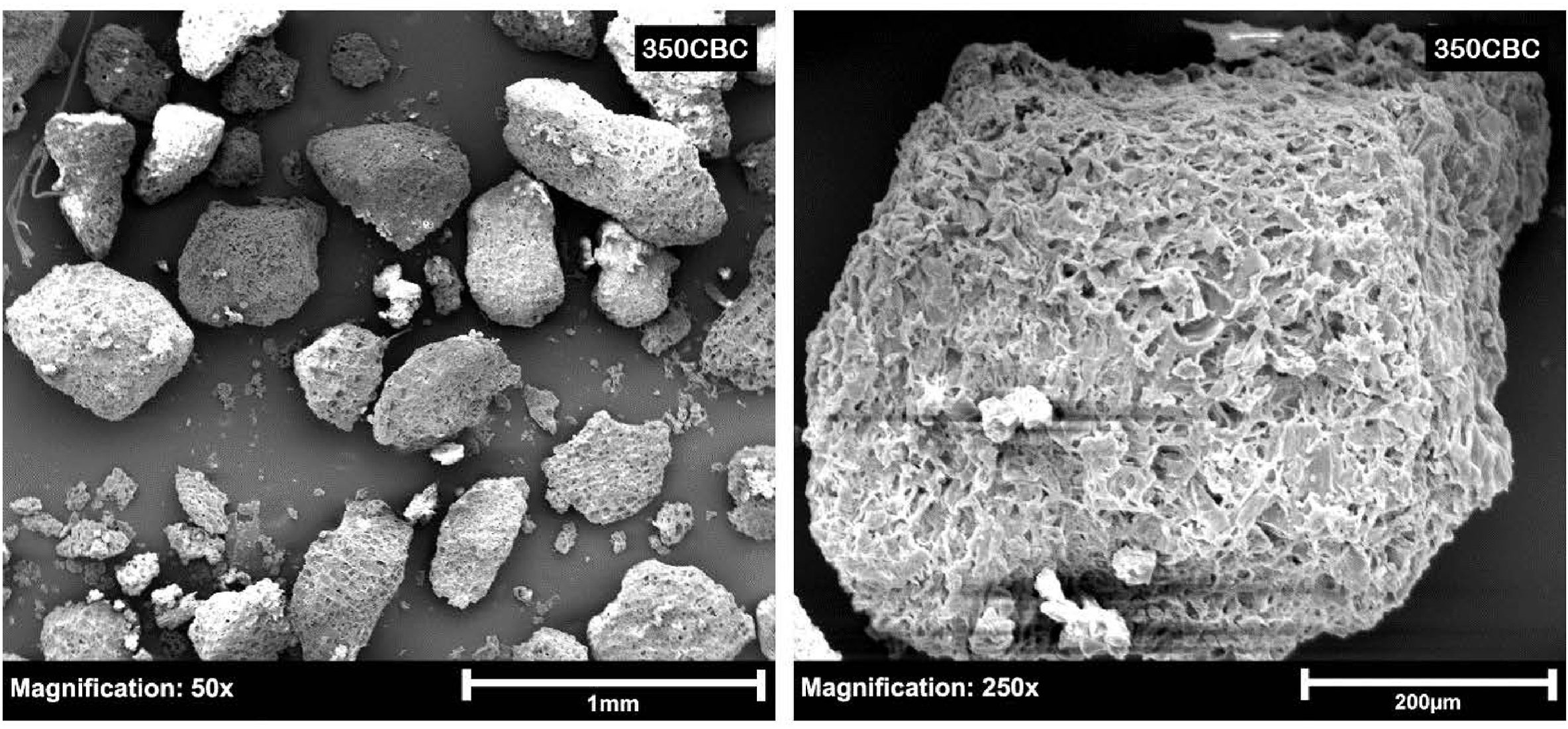 A series of photos showing different types of biochar.