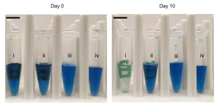 A series of test tubes with blue and green liquids in them.