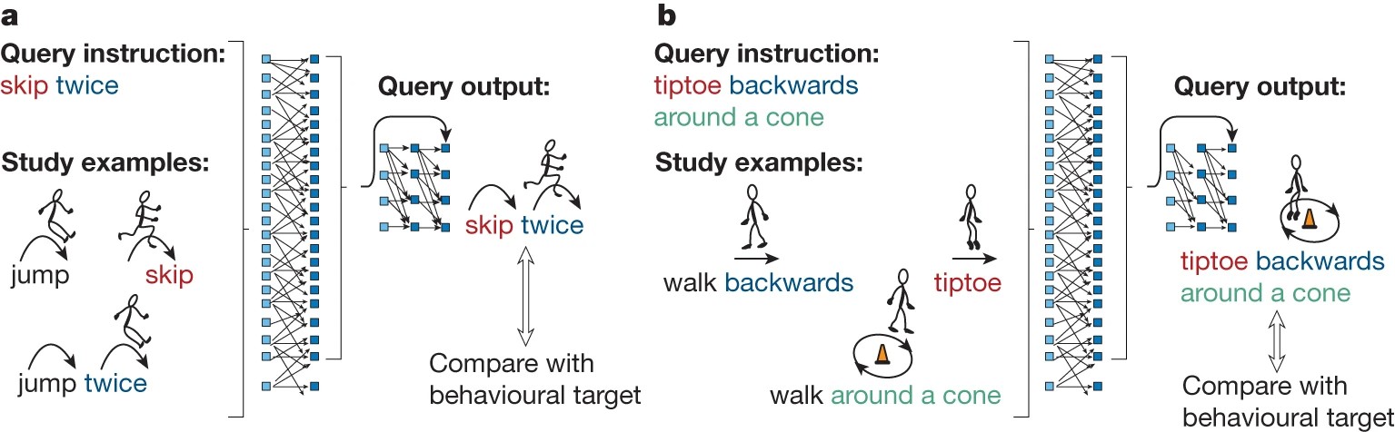 A series of diagrams showing the different stages of a study.