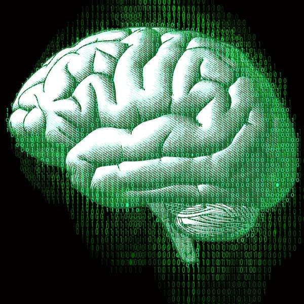 An image of a green brain on a black background.