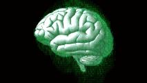 An image of a green brain on a black background.