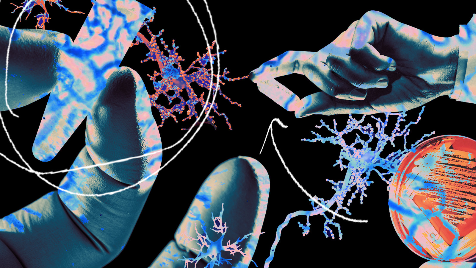 A collage of a hand and various health-related items, including pills, vials, and petri dishes, to represent clinical trials