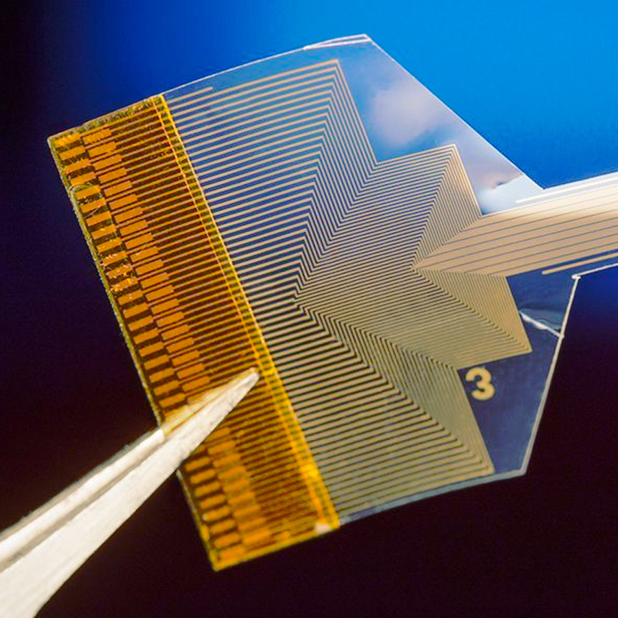 A pair of tweezers are holding the transparent brain implant