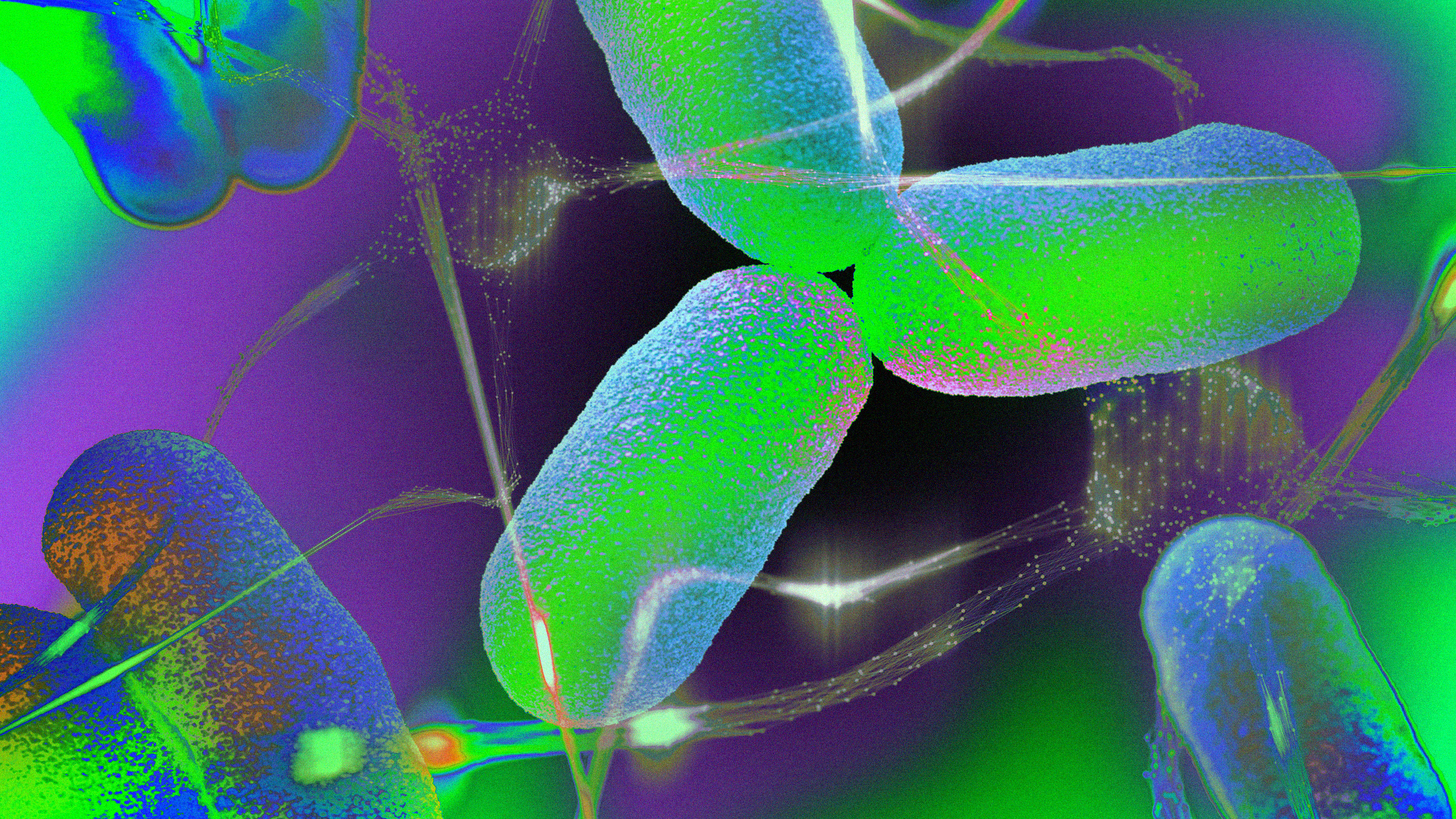 An image of bacteria in a green and purple color, representing the importance of gut health for mental well-being.