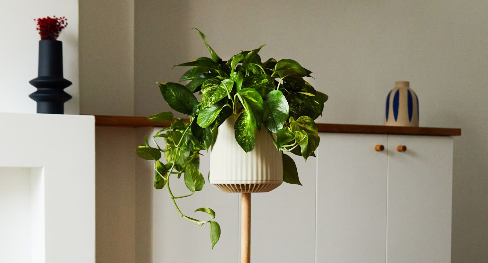 A potted plant on a wooden stand in a living room, showcased during CES 2024.