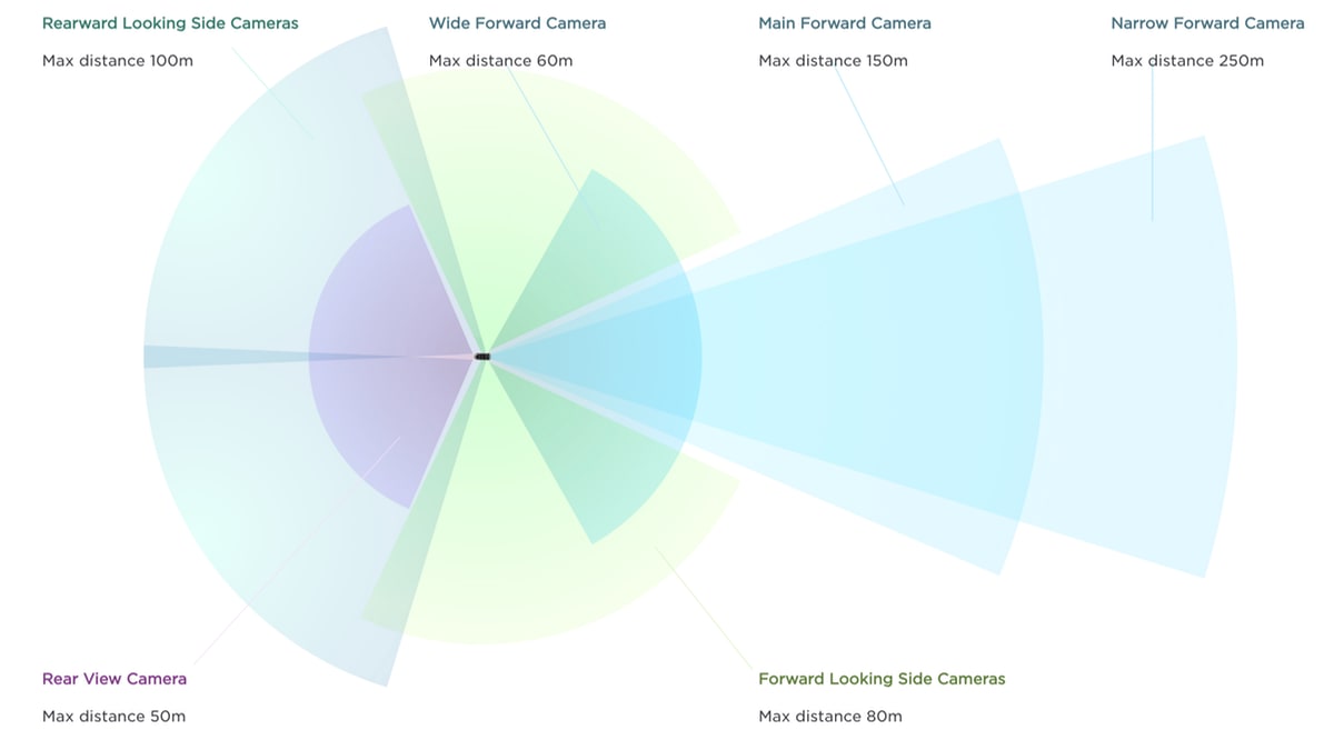 A diagram showing what a Tesla's cameras can see