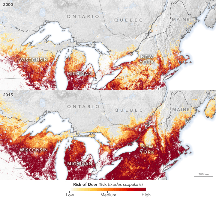 Two maps showing how risk of encountering Lyme-disease carrying deer ticks is rising over time