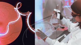 A composite image juxtaposing DNA sequencing with a laboratory environment