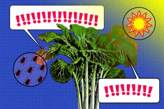 A vibrant graphic illustration featuring a large leafy plant with integrated plant sensors, comic-style speech bubbles containing exclamation marks, and a round bubble depicting ants, set against a blue textured background.