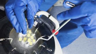 A person wearing blue gloves operates a piece of scientific equipment, handling small yellow cubes that are immersed in a cryogenic container.