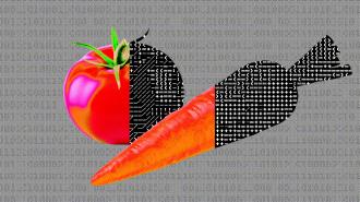 An illustration of a tomato and a carrot, with parts of each depicted using a black and white circuit board pattern, sits on a simple bench.